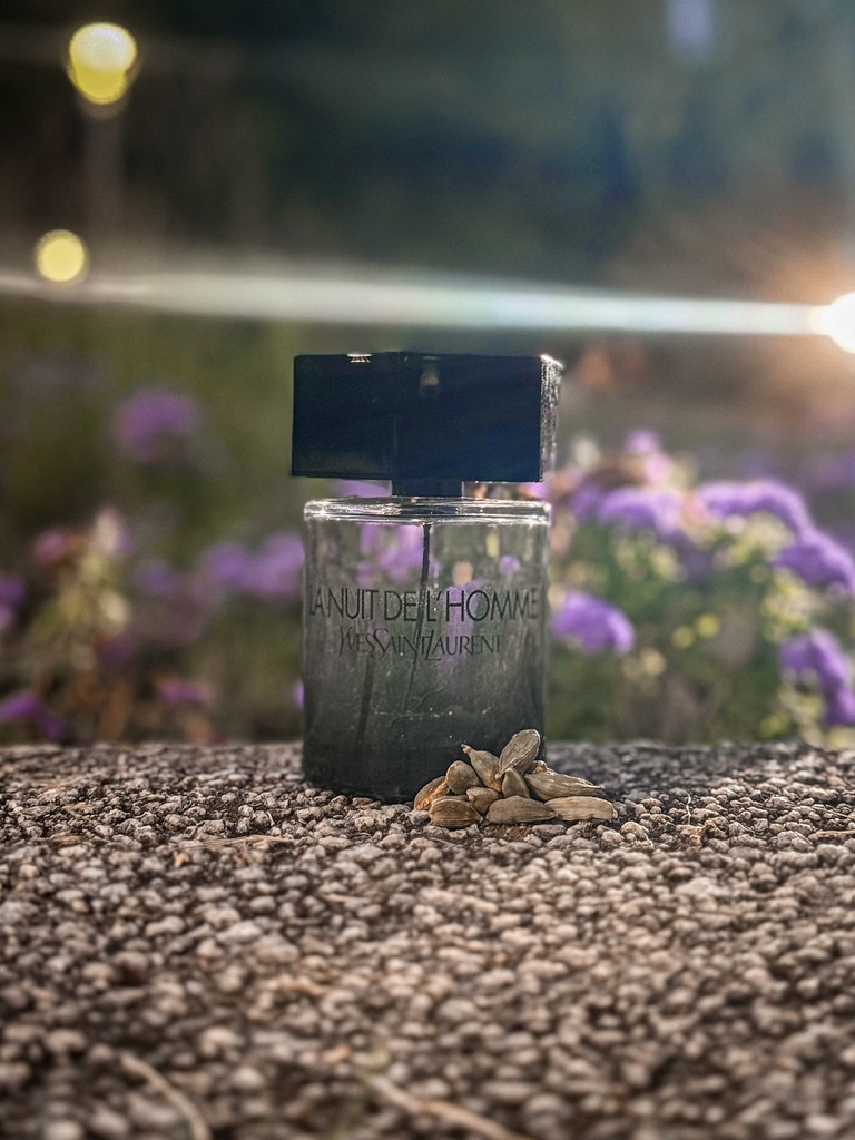 YSL Le Nuit de L'Homme
