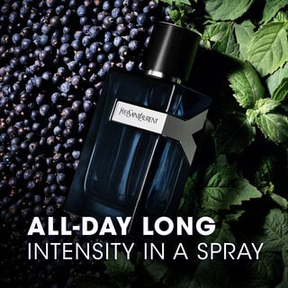 YSL Y EDP Intense